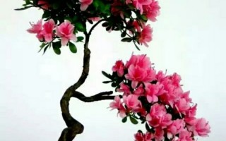 曲剧包公辞朝老令公原唱，曲剧包公辞朝十二月原唱